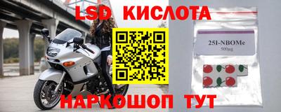 молекула духа Бердск