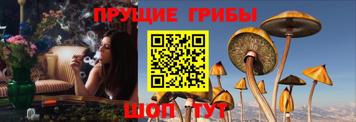 Псилоцибиновые грибы MAGIC MUSHROOMS Киселёвск